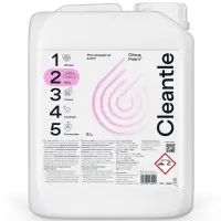 Cleantle Citrus Foam2 Piana aktywna do mycia zasadowa 5000ml