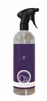 Nanolex EX Degreasing Agent Produkt do odtłuszczania lakieru przed aplikacją wosku powłoki ceramicznej 200ml